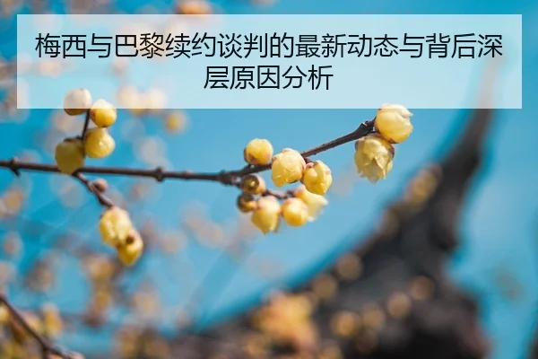 mei-xi-yu-ba-li-xu-yue-tan-pan-de-zui-xin-dong-tai-yu-bei-hou-shen-ceng-yuan-yin-fen-xi-2-392.jpg
