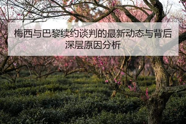 梅西与巴黎续约谈判的最新动态与背后深层原因分析